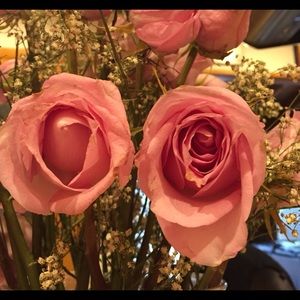 Meet your Posher, Matilde